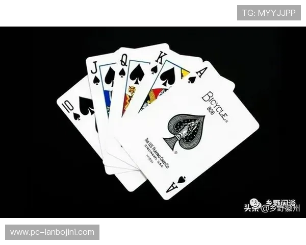 德州扑克体育：推动体育与扑克文化融合的多元化发展路径分析