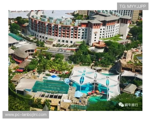 聖淘沙娱乐城平台新手攻略指南帮助新手快速上手游戏技巧